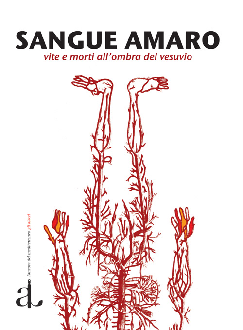 Clicca per leggere l'articolo